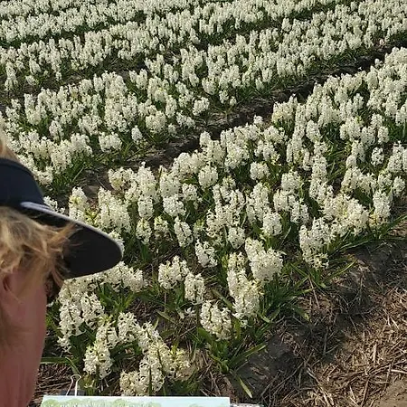 Apartamento Amberdi Amsterdam Schiphol Airport Hoofddorp