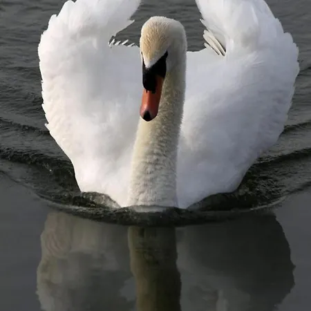 Amberdi Amsterdam Schiphol Airport * Hoofddorp