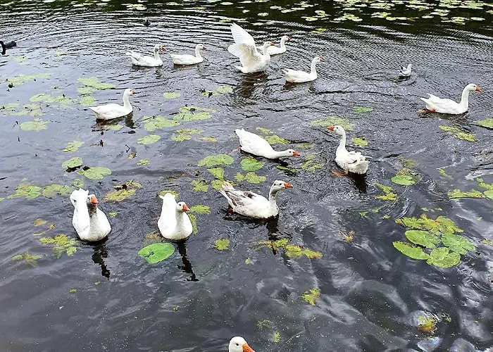 Amberdi Amsterdam Schiphol Airport