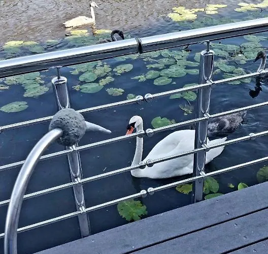 Amberdi Amsterdam Schiphol Airport ﾎｰﾌﾄﾞﾛｰﾌﾟ