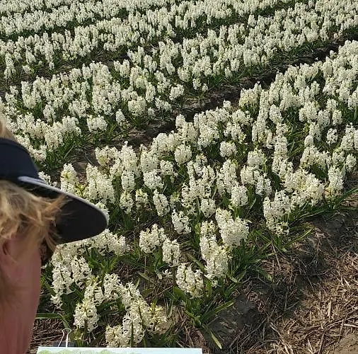 アパート Amberdi Amsterdam Schiphol Airport ﾎｰﾌﾄﾞﾛｰﾌﾟ