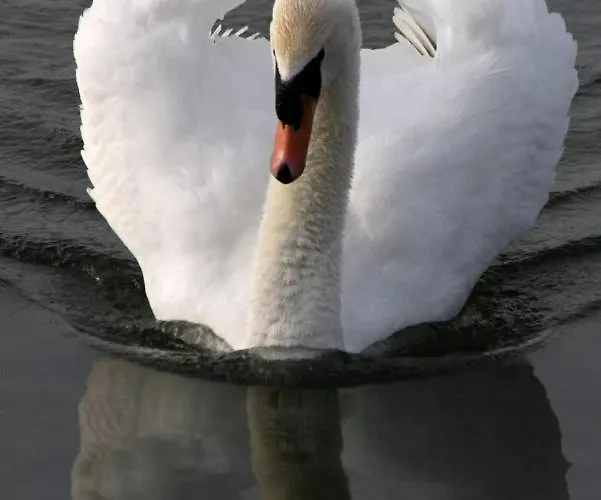 Amberdi Amsterdam Schiphol Airport * ﾎｰﾌﾄﾞﾛｰﾌﾟ