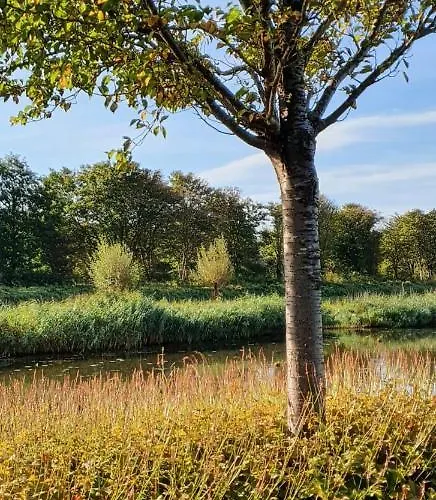 アパート Amberdi Amsterdam Schiphol Airport *